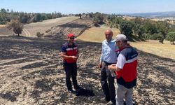 Gediz’de yangından etkilenen alanlar tespit edildi