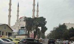 Iğdır’da etkili olan fırtına hayatı olumsuz etkiledi