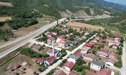 İmamın girişimiyle cami adeta çiçek serasına dönüştü