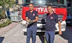 İtfaiye ekiplerinden yavru kedi kurtarma operasyonu