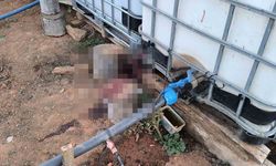 Kırşehir’de bahçe sulama kavgası kanlı bitti: Komşusunu öldürüp, eşini yaraladı