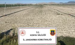 Konya’da jandarmadan uyuşturucu operasyonları