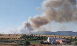 Kütahya’da orman yangını