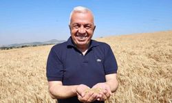 Nilüfer’de buğday hasadı başladı