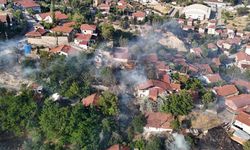 Otluk alanda çıkan yangında 4 ev zarar gördü