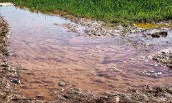 Şanlıurfa’da tarımsal su krizi derinleşiyor