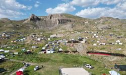 Şırnak’ta kuzu kırkma festivali başladı