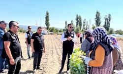 Taşoluk’ta 862 bin brokoli fidesi toprakla buluştu