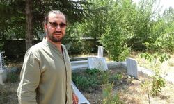 Tavşanlı’da mezarlık içinde kendisini sevdiren karga şaşırttı