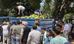 Tokatlı genç, dedesinin hayrına tonlarca karpuz dağıttı