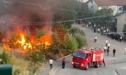 Tokat’ta arı kovanları küle döndü