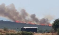 Uluabat Gölü’nden defalarca sorti yaptılar...Bursa’da iki ayrı noktada orman yangını