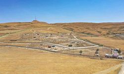 Van Büyükşehir Belediyesi doğal yaşam alanına 20 bin ağaç dikti