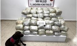 Van’da 70 kilo skunk madde ele geçirildi