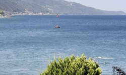 Yalova’da yunusun yüzen vatandaşla burun buruna geldiği anlar kamerada