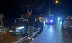 Edirne'de "Terörle mücadele uygulaması" kapsamında denetim yapıldı