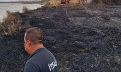 Gelibolu'da arazide çıkan yangın söndürüldü