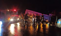 Kocaeli'de yoldan çıkan kamyonetin sürücüsü yaralandı