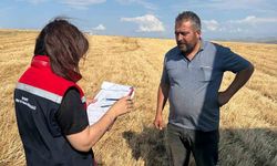 Aydıntepe’de hasat sezonu başladı