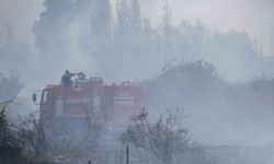 Beyşehir’de kampüs yakınlarındaki yangın korkuttu