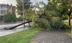 Erzincan’da sağanak ve fırtına hayatı felç etti