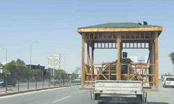 Kamyonet kasasında kamelya keyfi