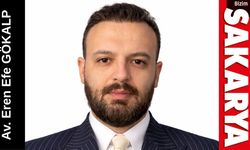 12. YARGI PAKETİ: DAĞ FARE Mİ DOĞURDU?