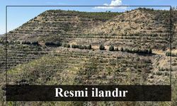 YANAN ALANLARIN AĞAÇLANDIRMASINDA ARAZİ HAZIRLIĞI İŞİ