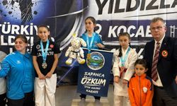 Hendekli Karateciler Gebze'de Madalya Bırakmadı