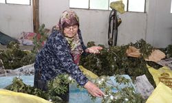 Karı koca, ata mirası ipek böceği yetiştiriciliğini yarım asırdır yaşatıyor