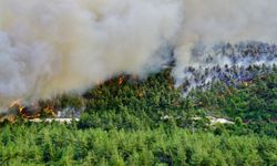 Sakarya-Bilecik sınırında korkutan orman yangını!