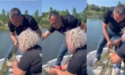 O Anlar Kamerada: Kaçak Ağlar Toplandı, Balıklar Özgürlüğe Yüzdü!