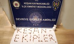 Edirne'de uyuşturucu operasyonunda 1 şüpheli gözaltına alındı