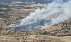GÜNCELLEME - Çanakkale'de ormanlık alanda çıkan yangın kontrol altına alındı
