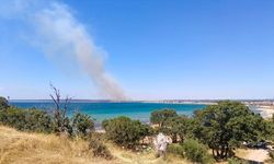 GÜNCELLEME - Çanakkale'de tarım arazisinde çıkan yangın kontrol altına alındı