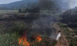 Kocaeli'de sazlıkta çıkan yangın kontrol altına alındı