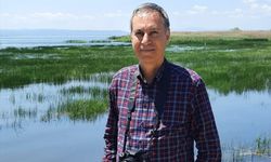 Marmara Denizi'nde ekosistemin onarılması için yeni yönetim planı hazırlanıyor