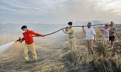 Sakarya'da çıkan yangında 150 dönüm mera zarar gördü