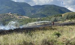 Sakarya'da makilik alanda çıkan yangın söndürüldü