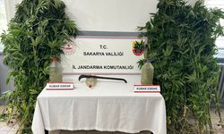 Sakarya'da uyuşturucu operasyonunda 3 zanlı tutuklandı