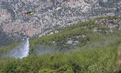 Antalya'da ormanlık alanda çıkan yangın büyümeden kontrol altına alındı