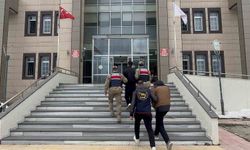 Bitlis'te göçmen kaçakçılığı operasyonu