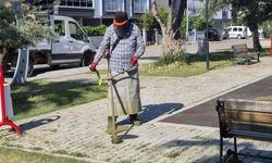 Efeler'de yeşil alanlarda yaz temizliği