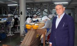 Fındık fiyatlarındaki düşüş sürüyor: Gözler yeni sezonda