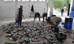Muğla'nın Mayıs ayı ihracatı 107 milyon dolar