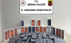 Şırnak'ta jandarmadan asayiş, kaçakçılık ve narkotik operasyonu