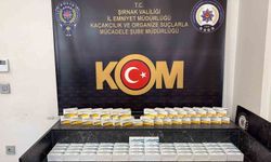 Şırnak'ta kaçak ilaç ve serum operasyonu: 2,5 milyon liralık tıbbi ürün ele geçirildi