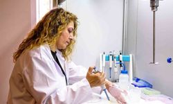 Tarımda kalite ve verimliliği güçlendiren yenilikçi test yöntemi