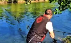 Sakarya’da kaçak avcılara darbe: 150 metrelik ağdan onlarca canlı kurtarıldı!