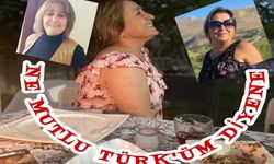 Akyazılı 62 yaşındaki Gönül Üstün hayatını kaybetti